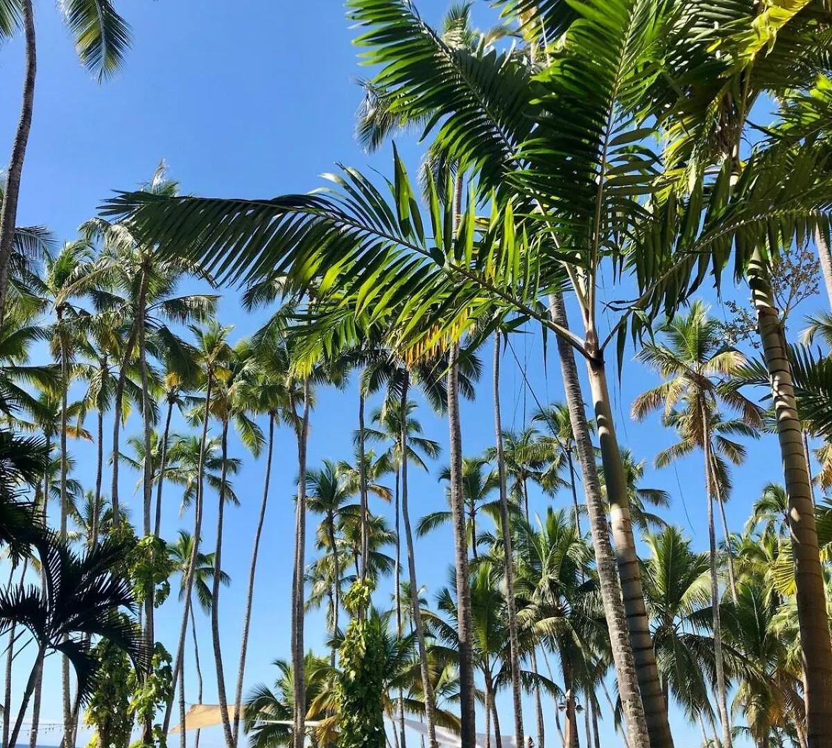 2Br Beach Front Club Hemingway Juan Dolio